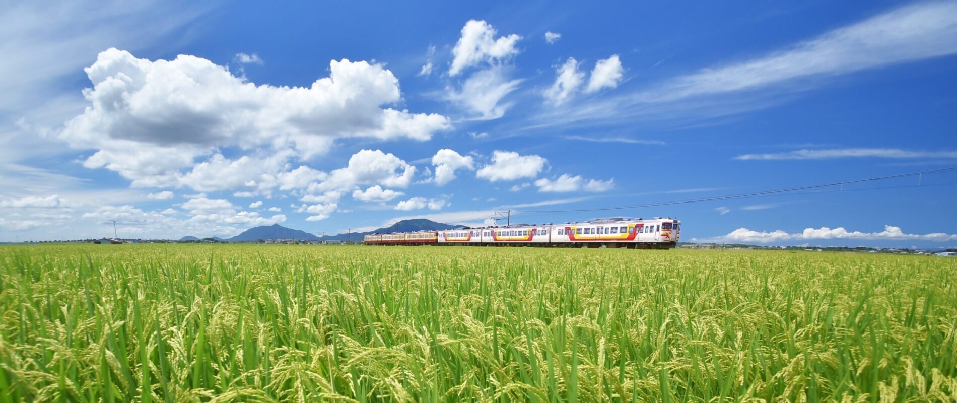 越後平野 新潟市西区/越後線
