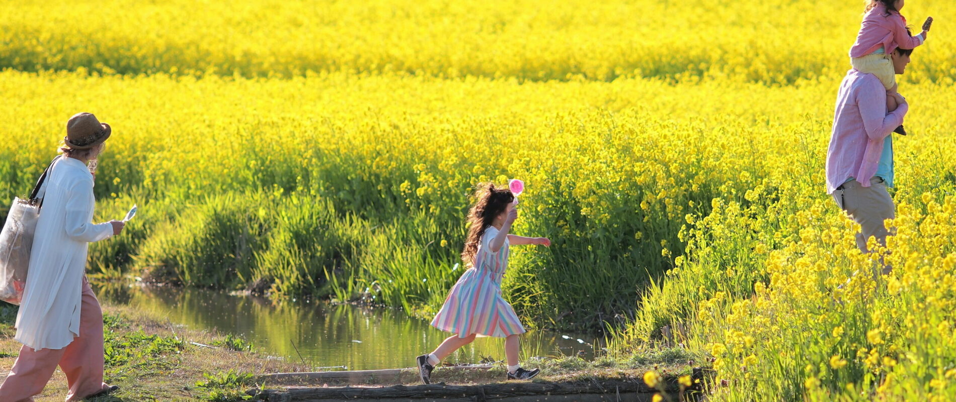 春の小川 新潟市北区/福島潟